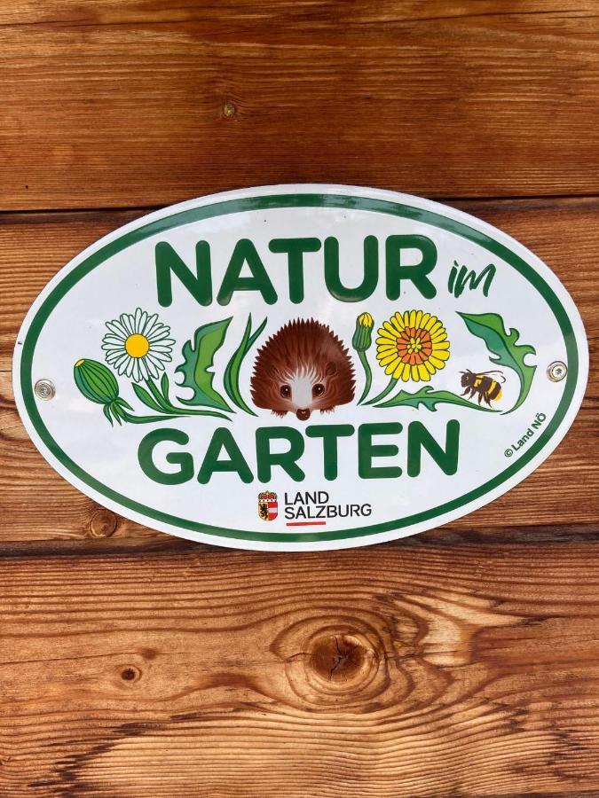 Appartamento Zur Lieben Sonne Filzmoos Esterno foto
