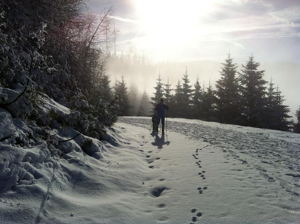 Appartamento Zur Lieben Sonne Filzmoos Esterno foto