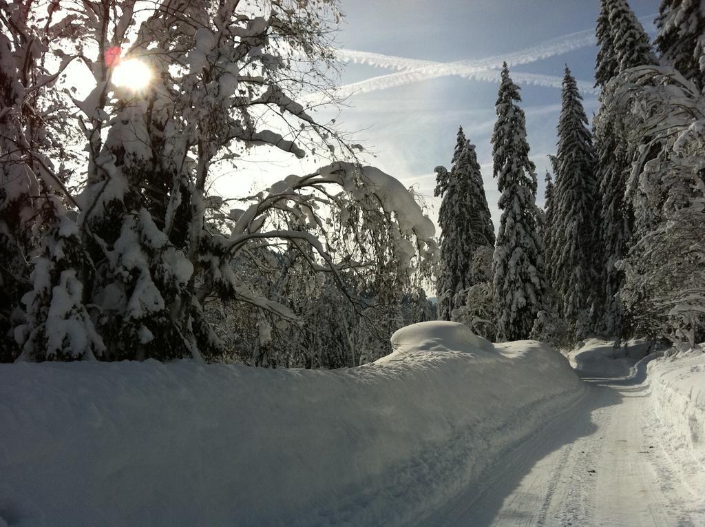 Appartamento Zur Lieben Sonne Filzmoos Esterno foto