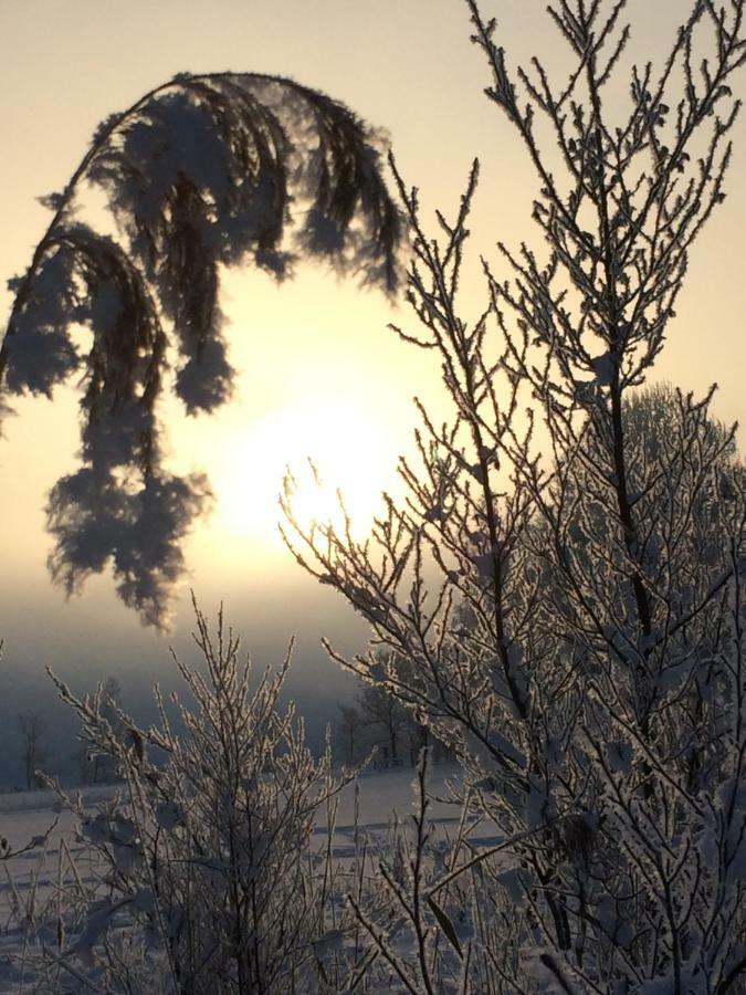 Appartamento Zur Lieben Sonne Filzmoos Esterno foto