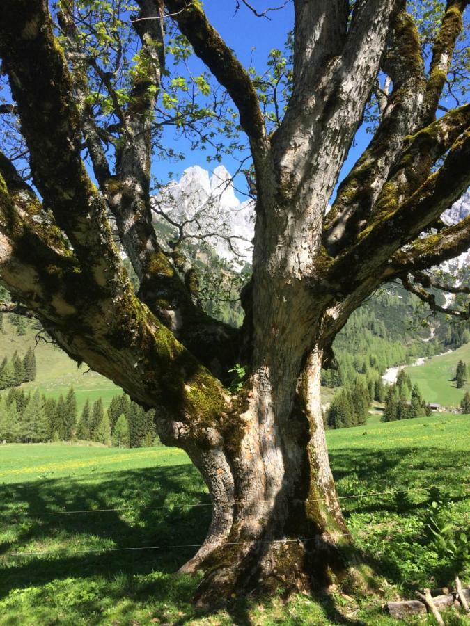 Appartamento Zur Lieben Sonne Filzmoos Esterno foto