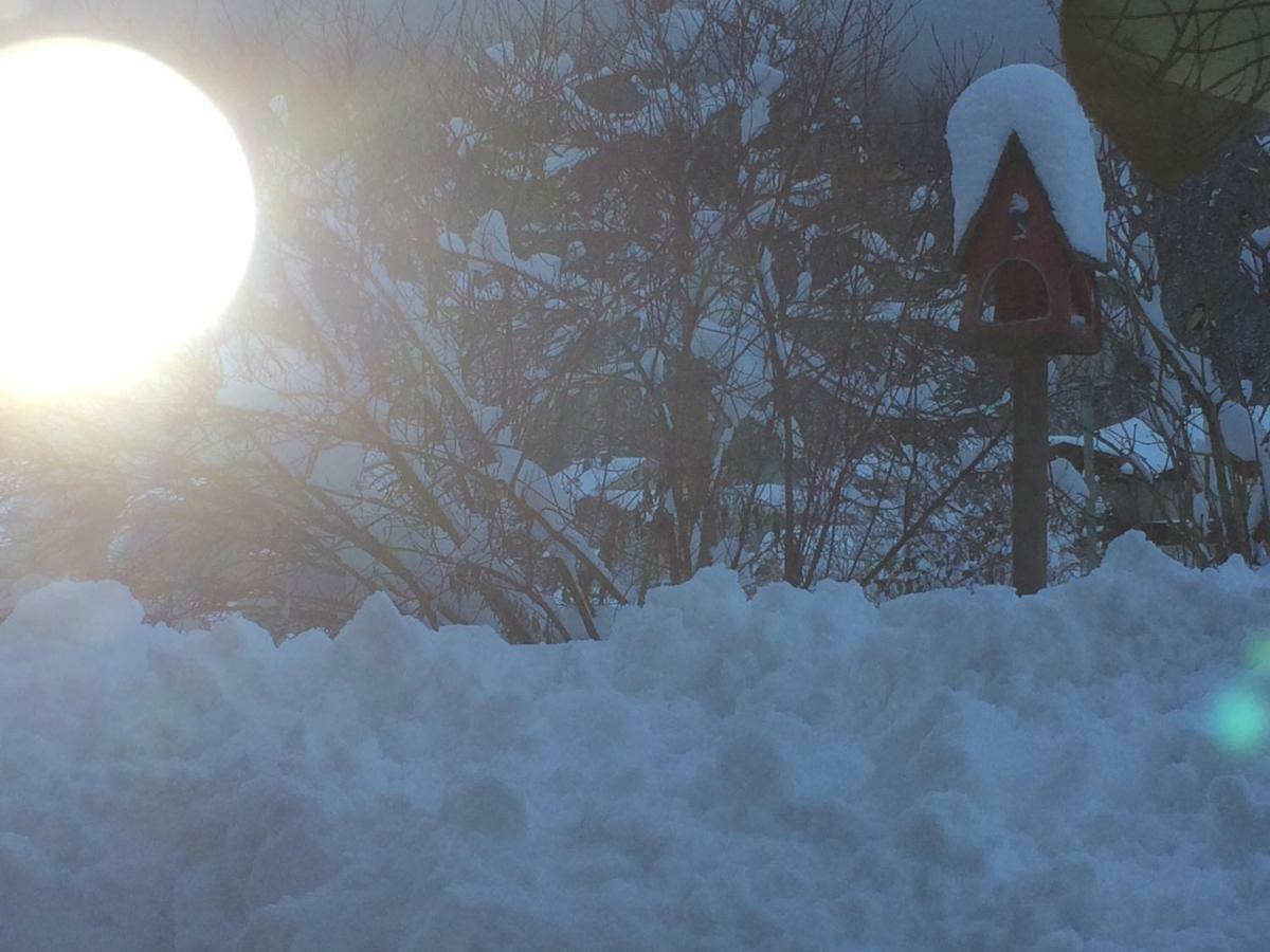 Appartamento Zur Lieben Sonne Filzmoos Esterno foto