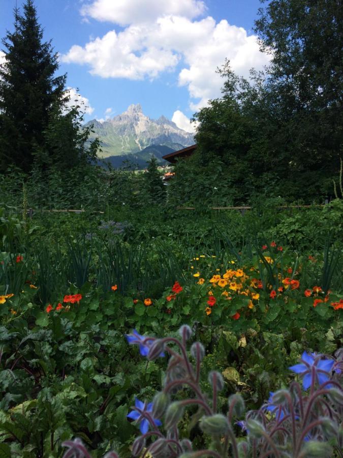 Appartamento Zur Lieben Sonne Filzmoos Esterno foto